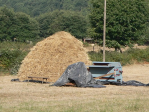 MÁQUINA DE MALLAR Y MEDA DE TRIGO